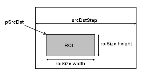 ROI Diagram